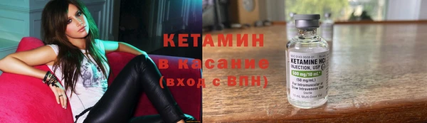 стаф Алзамай