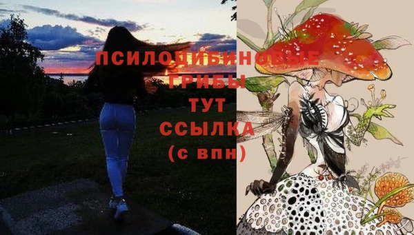 a pvp Алексеевка