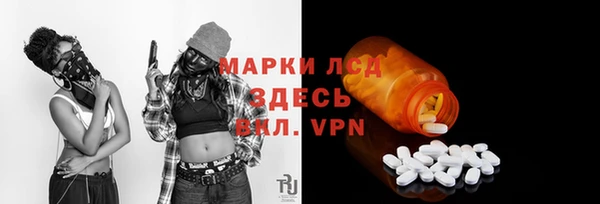 стаф Алзамай