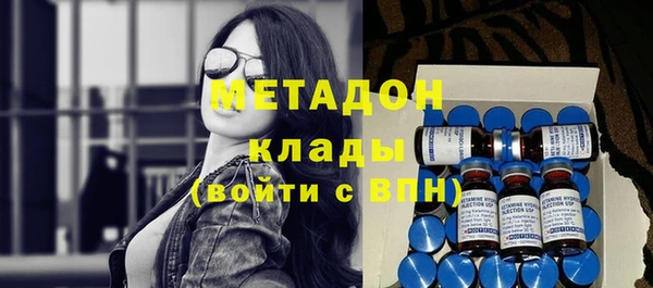 стаф Алзамай