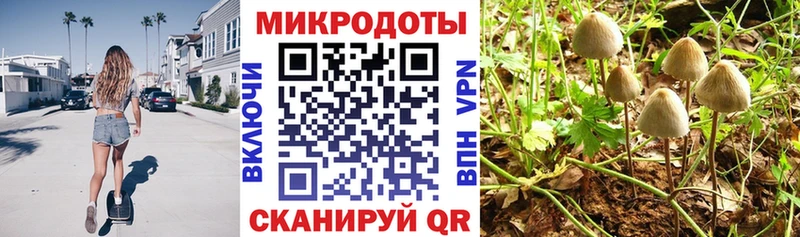 Псилоцибиновые грибы ЛСД  Ярцево 
