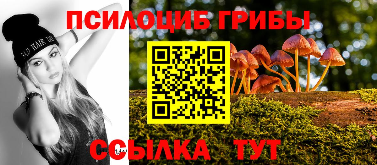 Ярцево  Галлюциногенные грибы мухоморы  наркота  Псилоцибиновые грибы прущие грибы  Вход с VPN 