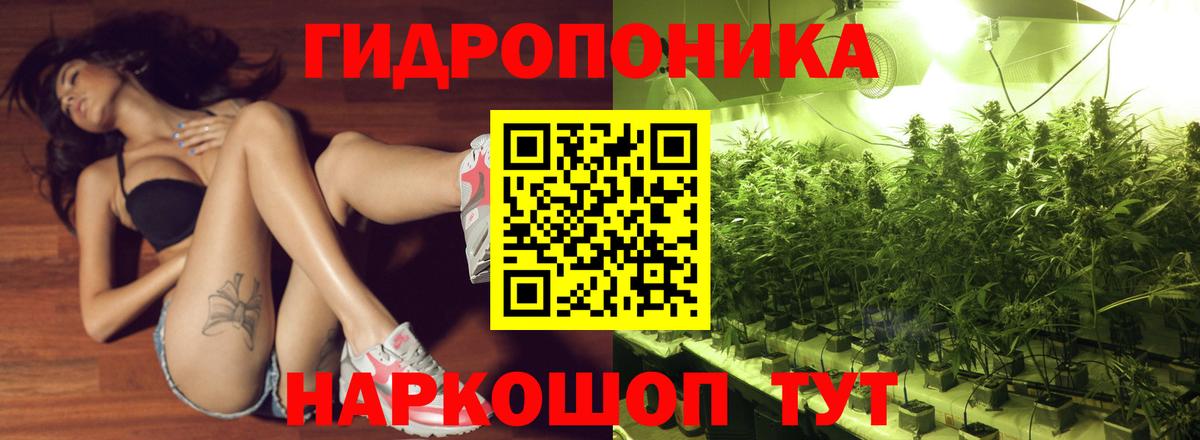 Бошки Шишки AK-47  Вход с VPN  Конопля Bruce Banner  Бошки Шишки VHQ  Бошки марихуана план  Ярцево 